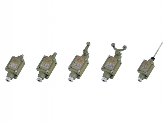 Manufacturing Companies for Box Explosion Proof - dLXK series Explosion-proof travel switch – Feice detail pictures